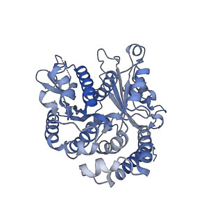 35823_8iyj_BG_v1-0
Cryo-EM structure of the 48-nm repeat doublet microtubule from mouse sperm