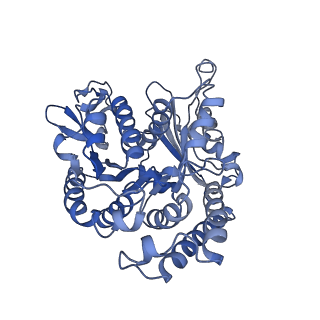 35823_8iyj_BH_v1-0
Cryo-EM structure of the 48-nm repeat doublet microtubule from mouse sperm