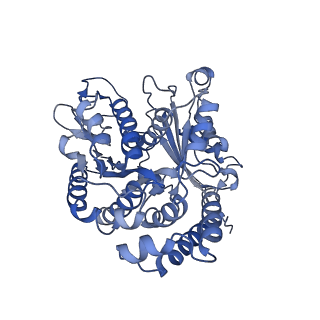 35823_8iyj_BI_v1-0
Cryo-EM structure of the 48-nm repeat doublet microtubule from mouse sperm