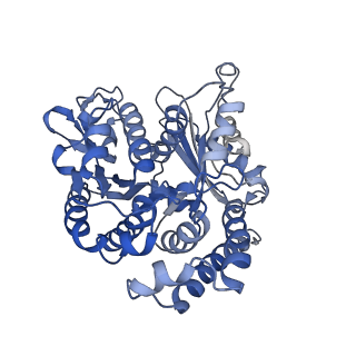 35823_8iyj_BJ_v1-0
Cryo-EM structure of the 48-nm repeat doublet microtubule from mouse sperm