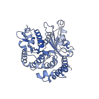 35823_8iyj_BK_v1-0
Cryo-EM structure of the 48-nm repeat doublet microtubule from mouse sperm