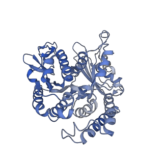 35823_8iyj_BL_v1-0
Cryo-EM structure of the 48-nm repeat doublet microtubule from mouse sperm