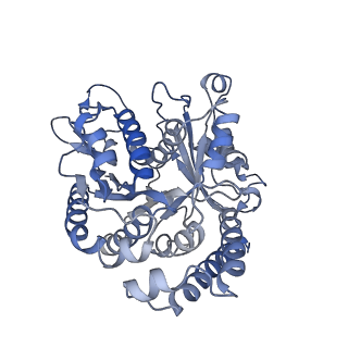35823_8iyj_BM_v1-0
Cryo-EM structure of the 48-nm repeat doublet microtubule from mouse sperm