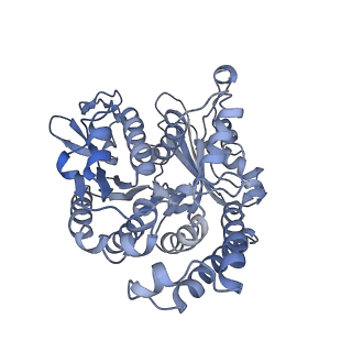 35823_8iyj_BN_v1-0
Cryo-EM structure of the 48-nm repeat doublet microtubule from mouse sperm