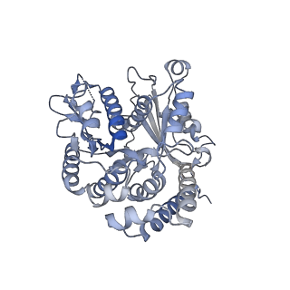 35823_8iyj_BO_v1-0
Cryo-EM structure of the 48-nm repeat doublet microtubule from mouse sperm