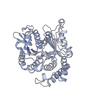 35823_8iyj_BP_v1-0
Cryo-EM structure of the 48-nm repeat doublet microtubule from mouse sperm