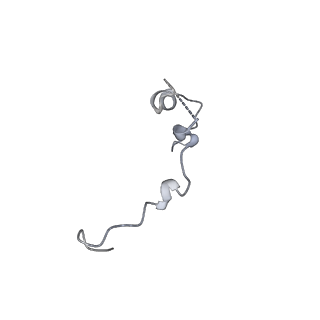 35823_8iyj_C6_v1-0
Cryo-EM structure of the 48-nm repeat doublet microtubule from mouse sperm
