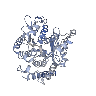 35823_8iyj_CB_v1-0
Cryo-EM structure of the 48-nm repeat doublet microtubule from mouse sperm