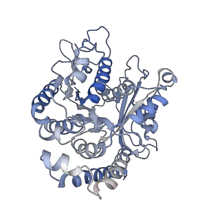 35823_8iyj_CC_v1-0
Cryo-EM structure of the 48-nm repeat doublet microtubule from mouse sperm