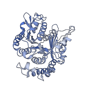 35823_8iyj_CD_v1-0
Cryo-EM structure of the 48-nm repeat doublet microtubule from mouse sperm
