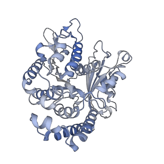35823_8iyj_CE_v1-0
Cryo-EM structure of the 48-nm repeat doublet microtubule from mouse sperm