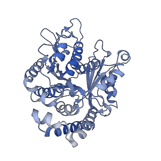 35823_8iyj_CG_v1-0
Cryo-EM structure of the 48-nm repeat doublet microtubule from mouse sperm