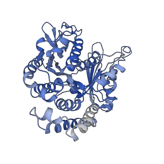 35823_8iyj_CH_v1-0
Cryo-EM structure of the 48-nm repeat doublet microtubule from mouse sperm