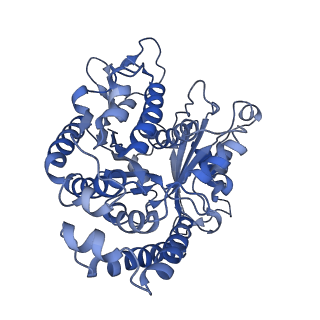 35823_8iyj_CI_v1-0
Cryo-EM structure of the 48-nm repeat doublet microtubule from mouse sperm