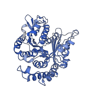 35823_8iyj_CJ_v1-0
Cryo-EM structure of the 48-nm repeat doublet microtubule from mouse sperm
