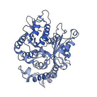 35823_8iyj_CK_v1-0
Cryo-EM structure of the 48-nm repeat doublet microtubule from mouse sperm