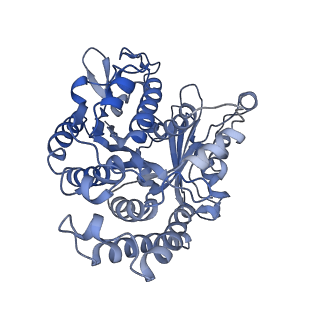 35823_8iyj_CL_v1-0
Cryo-EM structure of the 48-nm repeat doublet microtubule from mouse sperm