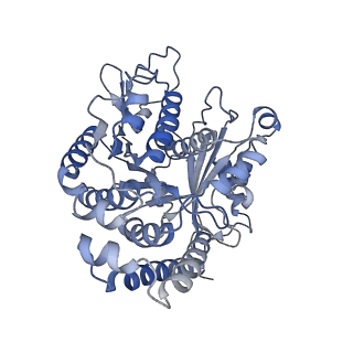 35823_8iyj_CM_v1-0
Cryo-EM structure of the 48-nm repeat doublet microtubule from mouse sperm