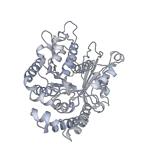 35823_8iyj_CQ_v1-0
Cryo-EM structure of the 48-nm repeat doublet microtubule from mouse sperm