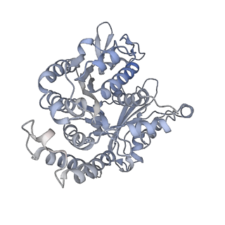 35823_8iyj_DB_v1-0
Cryo-EM structure of the 48-nm repeat doublet microtubule from mouse sperm