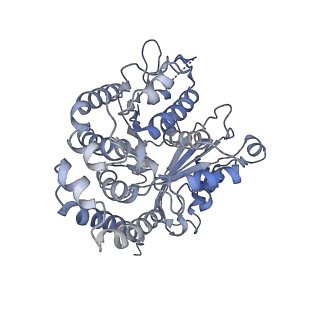 35823_8iyj_DC_v1-0
Cryo-EM structure of the 48-nm repeat doublet microtubule from mouse sperm