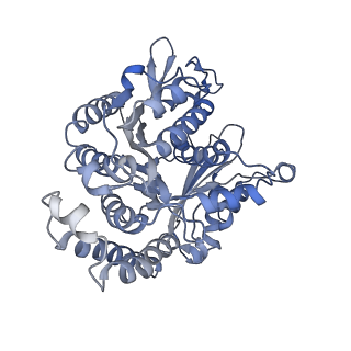 35823_8iyj_DD_v1-0
Cryo-EM structure of the 48-nm repeat doublet microtubule from mouse sperm