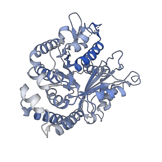 35823_8iyj_DE_v1-0
Cryo-EM structure of the 48-nm repeat doublet microtubule from mouse sperm