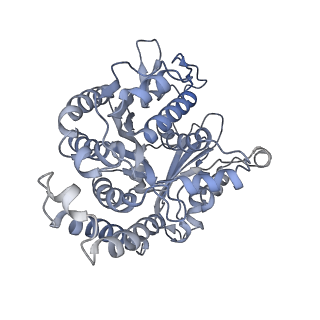 35823_8iyj_DF_v1-0
Cryo-EM structure of the 48-nm repeat doublet microtubule from mouse sperm