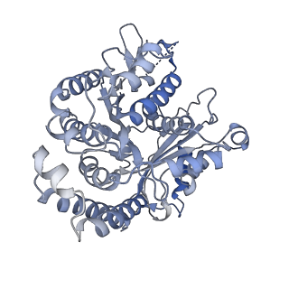 35823_8iyj_DG_v1-0
Cryo-EM structure of the 48-nm repeat doublet microtubule from mouse sperm