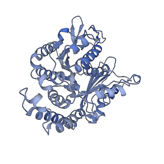 35823_8iyj_DH_v1-0
Cryo-EM structure of the 48-nm repeat doublet microtubule from mouse sperm