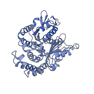 35823_8iyj_DJ_v1-0
Cryo-EM structure of the 48-nm repeat doublet microtubule from mouse sperm