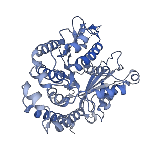 35823_8iyj_DK_v1-0
Cryo-EM structure of the 48-nm repeat doublet microtubule from mouse sperm