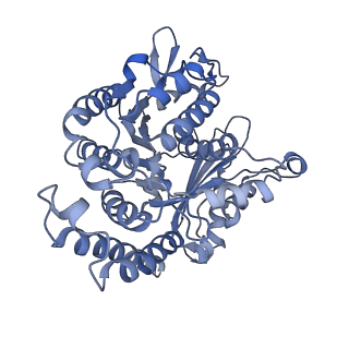 35823_8iyj_DL_v1-0
Cryo-EM structure of the 48-nm repeat doublet microtubule from mouse sperm