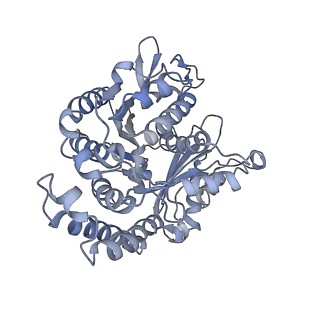 35823_8iyj_DN_v1-0
Cryo-EM structure of the 48-nm repeat doublet microtubule from mouse sperm
