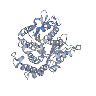 35823_8iyj_DP_v1-0
Cryo-EM structure of the 48-nm repeat doublet microtubule from mouse sperm