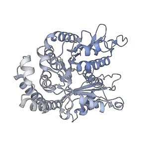 35823_8iyj_EA_v1-0
Cryo-EM structure of the 48-nm repeat doublet microtubule from mouse sperm