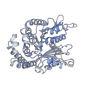 35823_8iyj_EC_v1-0
Cryo-EM structure of the 48-nm repeat doublet microtubule from mouse sperm