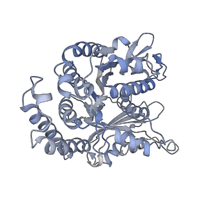 35823_8iyj_ED_v1-0
Cryo-EM structure of the 48-nm repeat doublet microtubule from mouse sperm