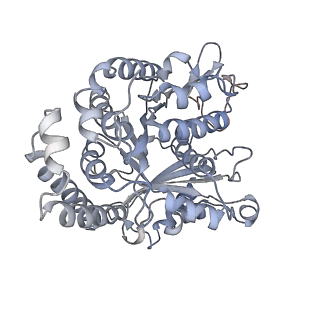 35823_8iyj_EE_v1-0
Cryo-EM structure of the 48-nm repeat doublet microtubule from mouse sperm