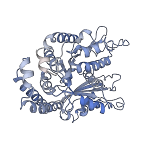 35823_8iyj_EG_v1-0
Cryo-EM structure of the 48-nm repeat doublet microtubule from mouse sperm