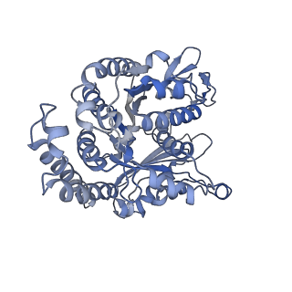 35823_8iyj_EH_v1-0
Cryo-EM structure of the 48-nm repeat doublet microtubule from mouse sperm