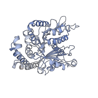 35823_8iyj_EK_v1-0
Cryo-EM structure of the 48-nm repeat doublet microtubule from mouse sperm