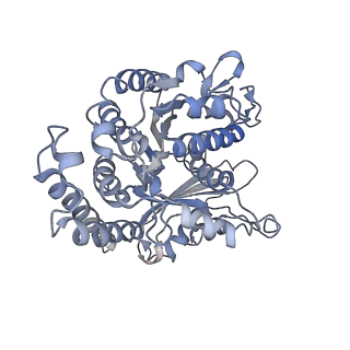 35823_8iyj_EL_v1-0
Cryo-EM structure of the 48-nm repeat doublet microtubule from mouse sperm