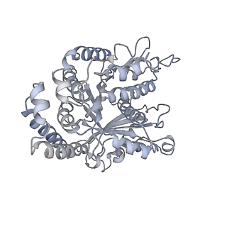 35823_8iyj_EO_v1-0
Cryo-EM structure of the 48-nm repeat doublet microtubule from mouse sperm