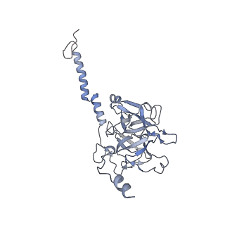 35823_8iyj_E_v1-0
Cryo-EM structure of the 48-nm repeat doublet microtubule from mouse sperm