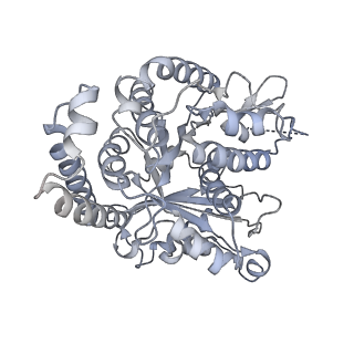 35823_8iyj_FE_v1-0
Cryo-EM structure of the 48-nm repeat doublet microtubule from mouse sperm