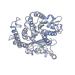 35823_8iyj_FF_v1-0
Cryo-EM structure of the 48-nm repeat doublet microtubule from mouse sperm
