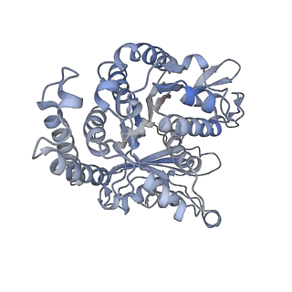 35823_8iyj_FH_v1-0
Cryo-EM structure of the 48-nm repeat doublet microtubule from mouse sperm