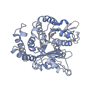 35823_8iyj_FJ_v1-0
Cryo-EM structure of the 48-nm repeat doublet microtubule from mouse sperm