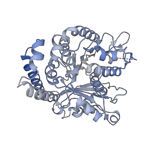 35823_8iyj_FK_v1-0
Cryo-EM structure of the 48-nm repeat doublet microtubule from mouse sperm